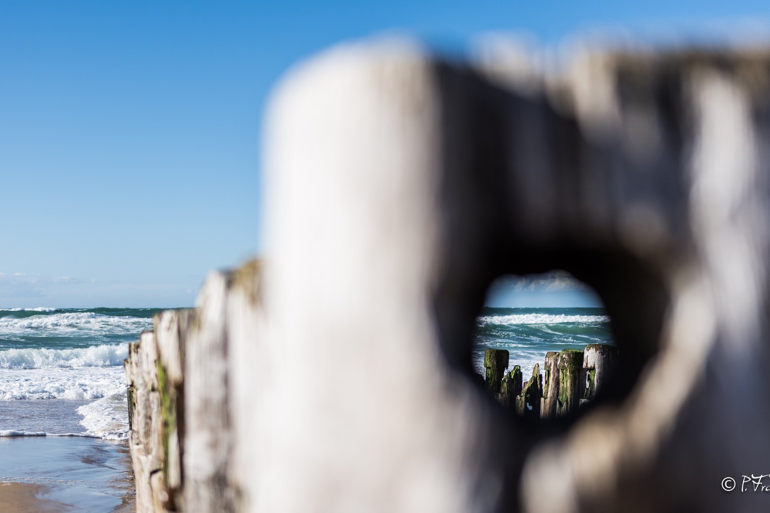 Les plages sauvages