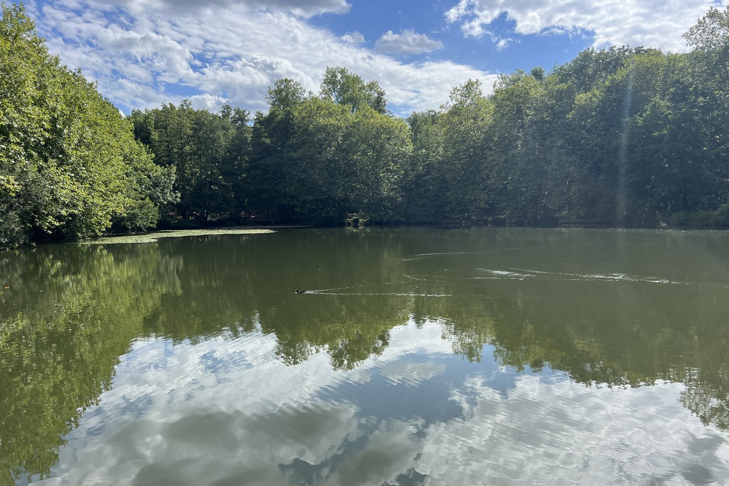 Forêts & étangs de l'Ouest